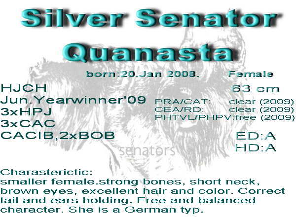 Schnauzer - Giant Schnauzer Females HJCH. Silver Senator Quanasta 0